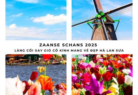 Zaanse Schans 2025: Làng cối xay gió cổ kính mang vẻ đẹp Hà Lan xưa